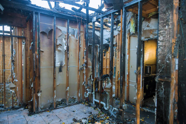 Professional Smoke Damage Removal technician working in Hammond, WI